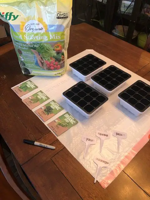 Shows seed planting setup. We hope that growing some of our own food will help us save money on groceries. 