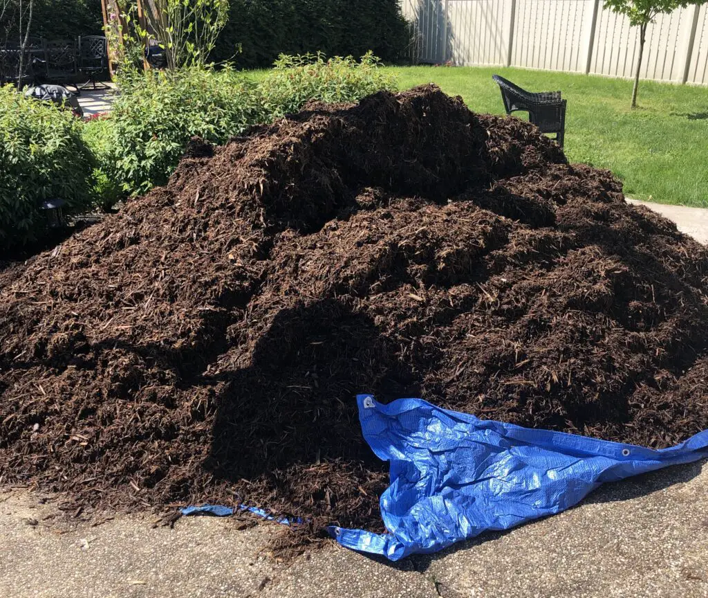giant pile of mulch that we laid ourselves