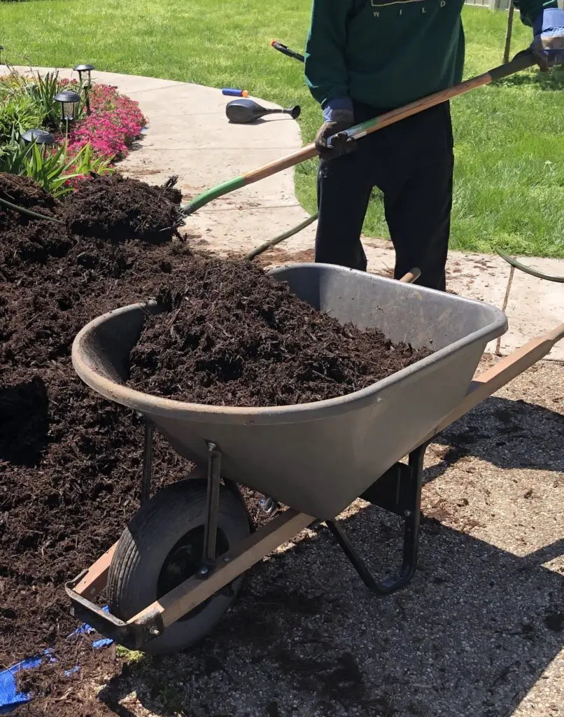a wheelbarrow and pitchfork are critical when doing mulch yourself