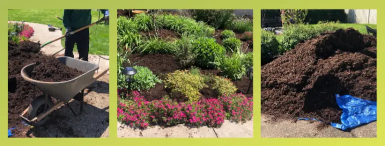 Must Know Tips for Laying Mulch