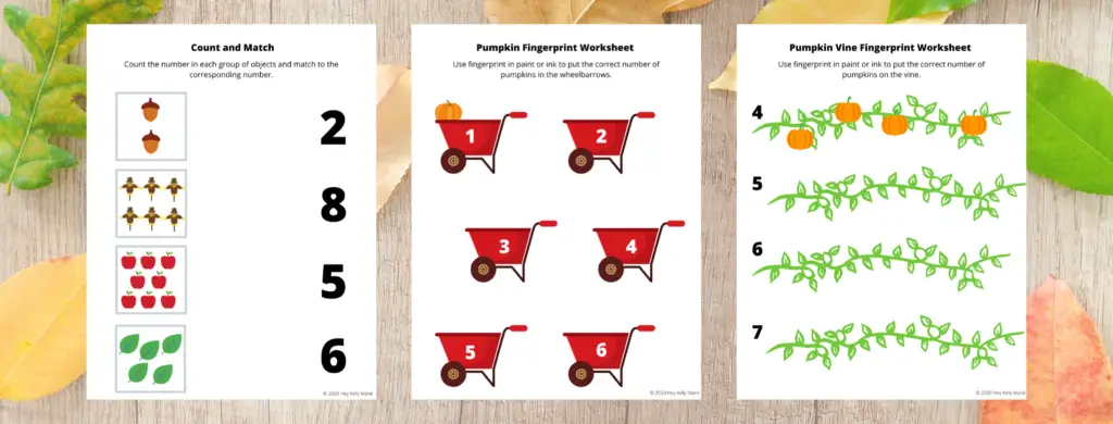 Count and Match activity, Pumpkin Fingerprint Worksheet, and Pumpkin Vine Fingerprint Worksheet work on preschool math skills and are included in the free Preschool Pumpkin Worksheet set. 
