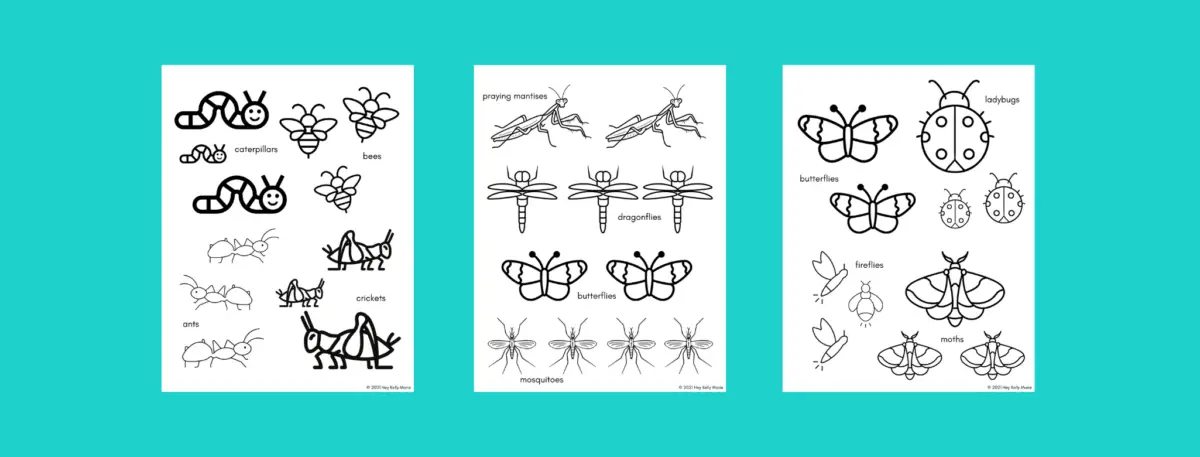 bug coloring pages preview free printable