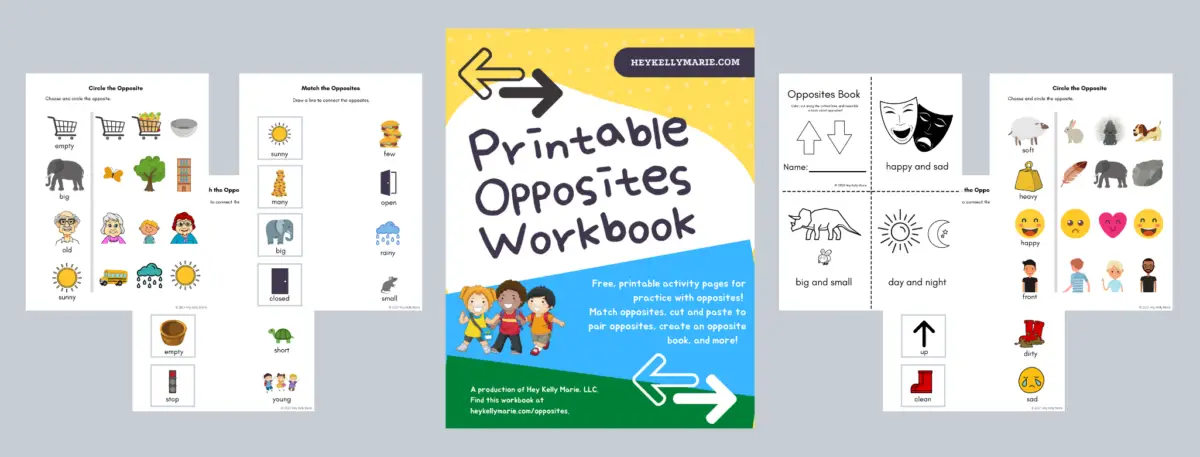preview of printable opposites workbook